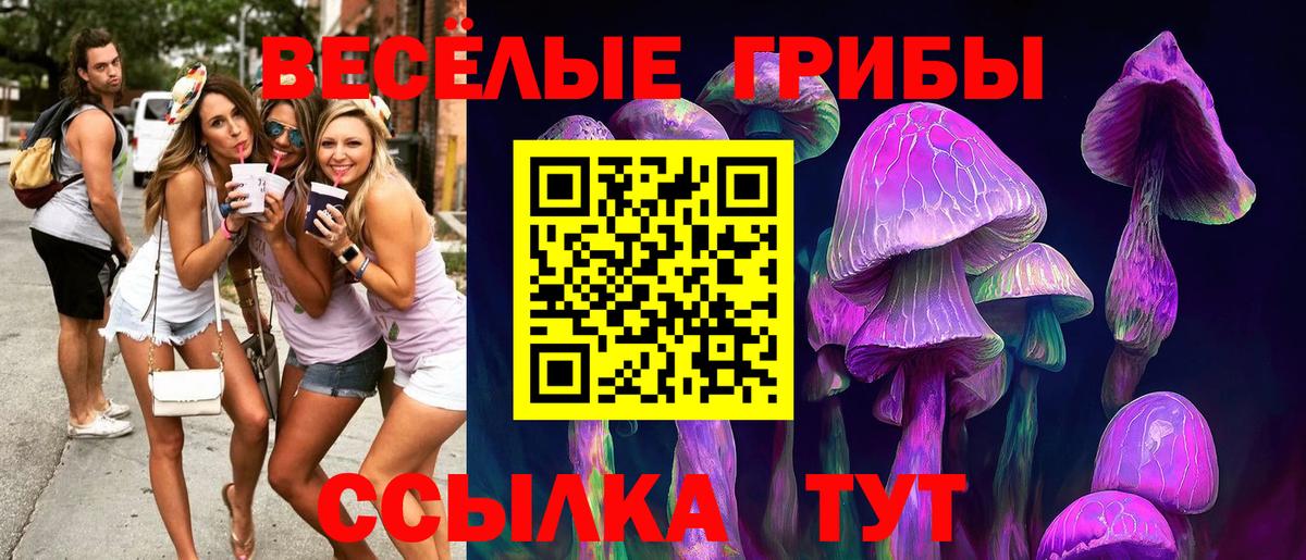 где можно купить наркотик  Галлюциногенные грибы Magic Shrooms  Вход с VPN  Сердобск 
