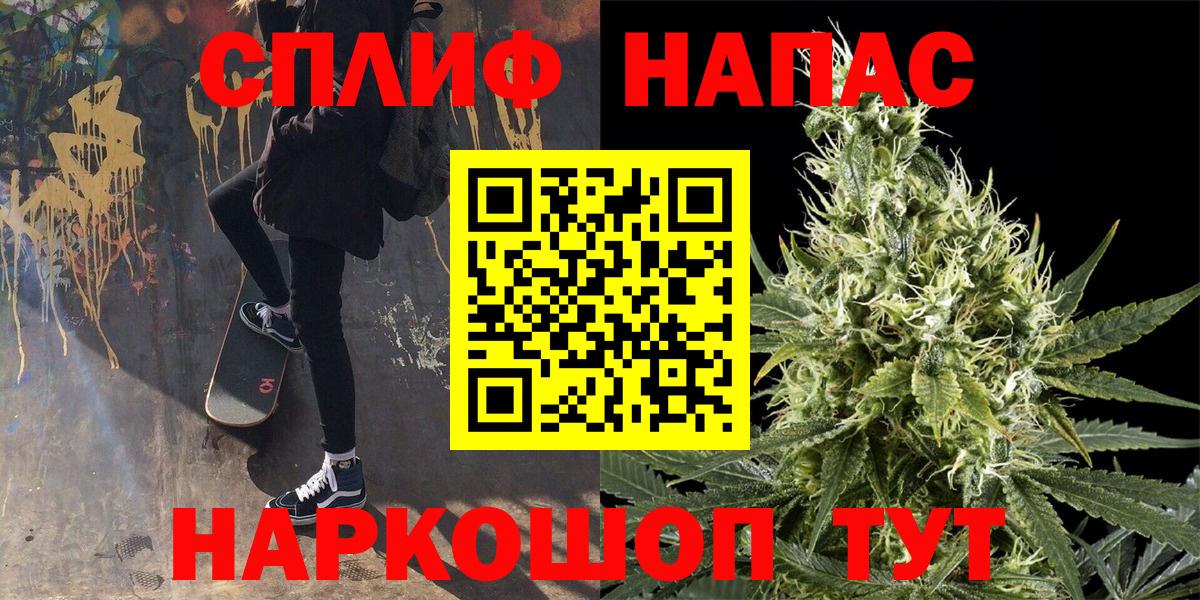 Бошки Шишки план Сердобск